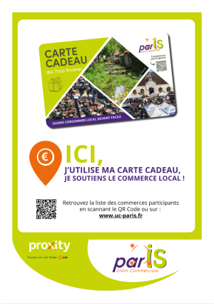is sur tille carte cadeau